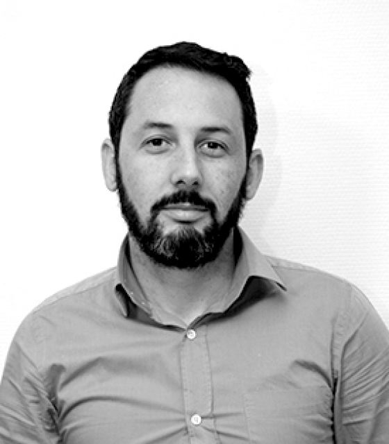 Olivier — Consultant IT senior